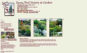 Sierra Azul Nursery and Gardens